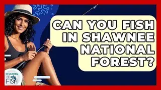 Can You Fish In Shawnee National Forest? - Chasing Big Fish