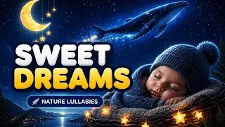 🌙 20 Minutes of Lullabies from the Ocean & Forest of Aotearoa 🌿