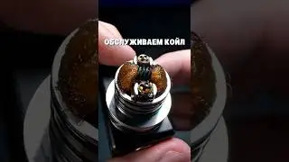 #lanskovcoil