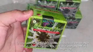 Godong Ijo Herbal Capsules: A Quick Solution for Gout and Swollen Feet