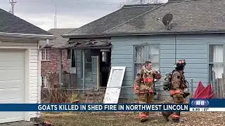 Five goats and four ducks killed in northwest Lincoln fire