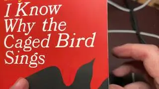 I Know Why the Caged Bird Sings; Chapter 30