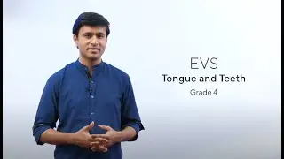 Grade 4|| EVS || Unit 6- Tongue and Teeth