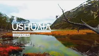 Ushuaia ¦ Best Tourist Attractions ¦ Tierra del Fuego ¦ Penguins