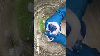 Blue & Green Big Plastic Sponges | asmr sponge squeezing #shorts