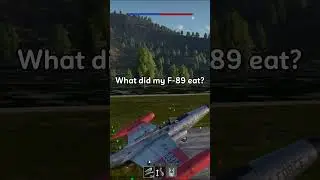 BRO WTH #warthunder #shorts