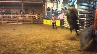 Laine Lamb Bullfighter: Save XB Arena