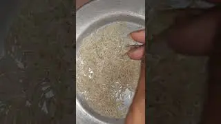 DEV BHOOMI MALAI BASMATI RICE EATING RAW RICE 🌾❤️🌾🌾