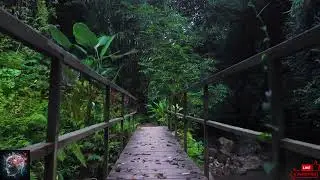 Mystical Walk on a Never-Ending Bridge | Dreamlike Journey for Relaxation and Imagination