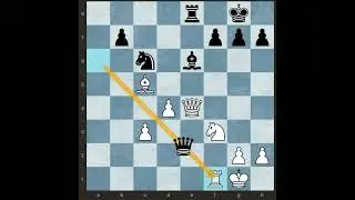 Chess Blunders Video Number 7