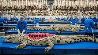 Inside the Licensed Crocodile Leather Workshop | Full Process Turning Raw Hide Into Luxury Products