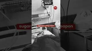 Dalit Woman Murdered in Meerut While Protecting Daughter, Arrest Follows Outrage