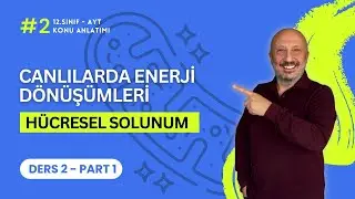 AYT Biyoloji | Hücresel Solunum Konu Anlatımı (Ders 2 Part 1) | 12. Sınıf Enerji Dönüşümleri