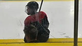 Dominic Riley (Every Point) 2025 Topshelf Warriors U12 AAA