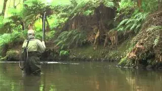 Wet Fly New Zealand Fishing with John Horsey