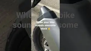 Honda Africa Twin stock sound.