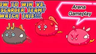 CLASSIC POISON TEAM VS DISCARDER TEAM (BUG) | Axie Infinity | DAVIDSANITY TV