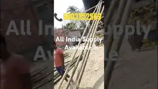 Assam Best Bamboo Supplier || All India Supply Available || Assam Bamboo Wholesale Market