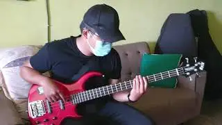 bass fandec baikk