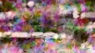 The Britanys - Basketholder