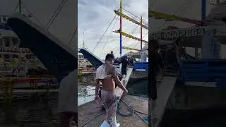 GIANT TUNA HAUL! 🤯 100-200 Kg Tuna Fish Flooding the Market!#TunaFishing #টুনামাছ #FishMarket