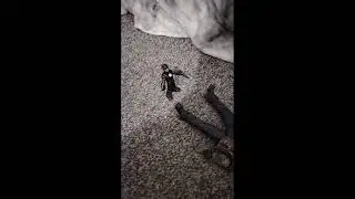 Evil flash vs Jason Vorhees