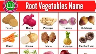 Vegetables Name | सब्जियों के नाम | Root vegetable Name In Hindi And English with Pictures for Kids
