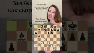 Victims Across the Board. Chess
