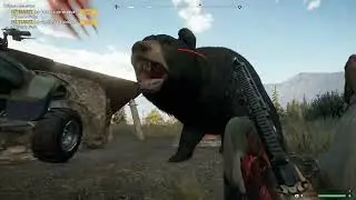 Far Cry 5 Bear Fight