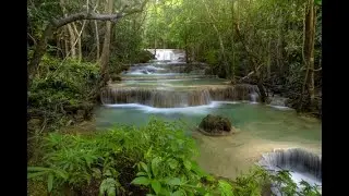 February 2022 - A month of Self Transformation - Channeled message and Light Language transmission