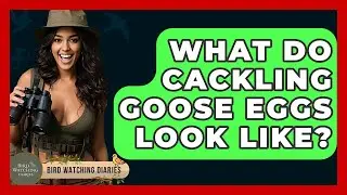What Do Cackling Goose Eggs Look Like? - Bird Watching Diaries