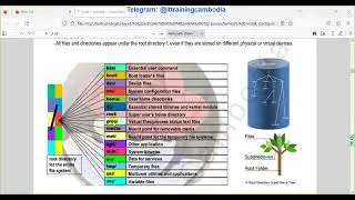 ពន្យល់ពី Linux File and Folder Structure