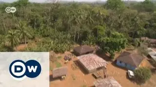 Armut und Artenschutz in Sierra Leone | DW Deutsch