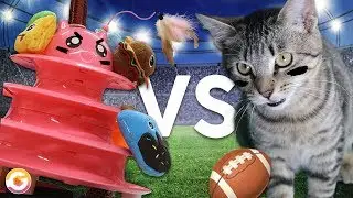 Cats vs Robots | Robot Kitten Bowl Special! | GoldieBots