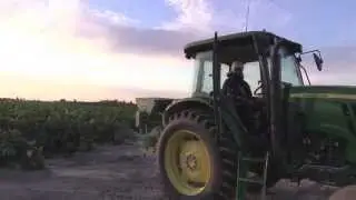 Sikhi is like farming! @Sikh Farm, Fresno, California