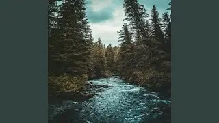 Gentle Waters