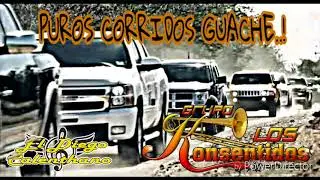 PUROS CORRIDOS GUACHE..! LOS KONSENTIDOS DE TIERRA CALIENTE