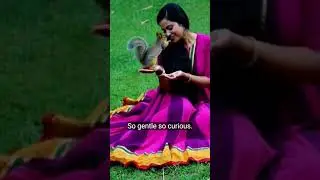 So gentle so curious 😳 #animals #squirrel #naturelovers #animalshorts