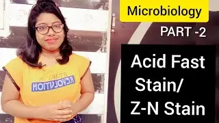 Z-N Stain or Acid Fast Stain to identify Mycobacteria in MICROBIOLOGY PART -2
