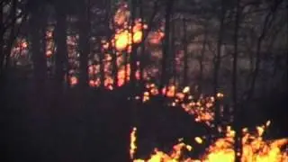 Falmouth Fire Department at Large Brush Fire in Plymouth, Ma. 1966
