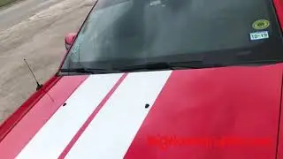 2007-14 Mustang Shelby GT500 Stripes