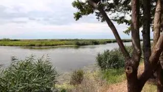 Sebewaing County Park, Huron County Michigan