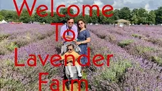 Mayfield Lavender Farm UK, England | Walking Tour