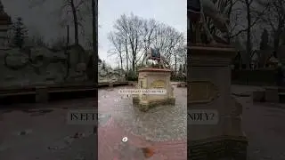 Is Efteling plus size friendly?