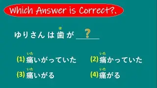 Какой ответ правильный? - Тест по лексике JLPT