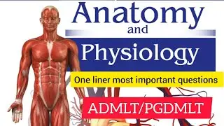 ANATOMY AND PHYSIOLOGY PYQ (ADMLT /PGDMLT  ( MSBTE 2026 )