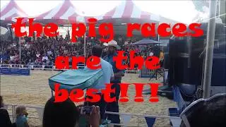 Orange County Fair 2017