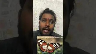 Striped Tiger Butterfly Declared State Butterfly of Chandigarh l Current Affairs l InNews l Hindi