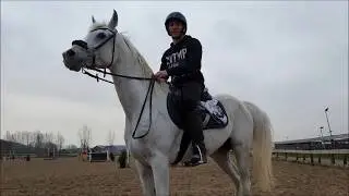Sebastiaan &  Marcus eventing training at Amstelhoeve