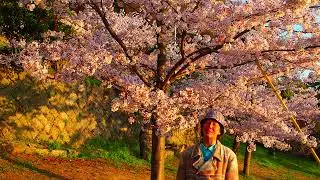 &rdquo;Without You&rdquo; Music & words by HAM PETER WILLIAM & EVANS THOMAS sung by NILSSON  in 1971　二ルソンの大ヒット曲